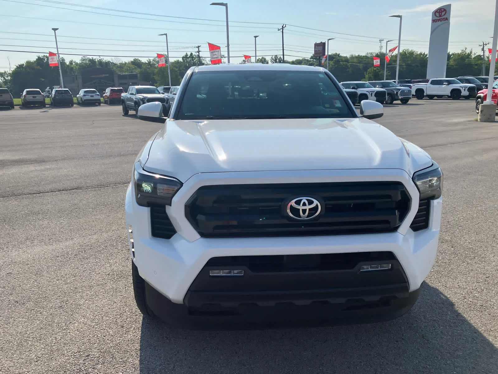 Certified Used 2026 Ice Cap Toyota SR5 image 4