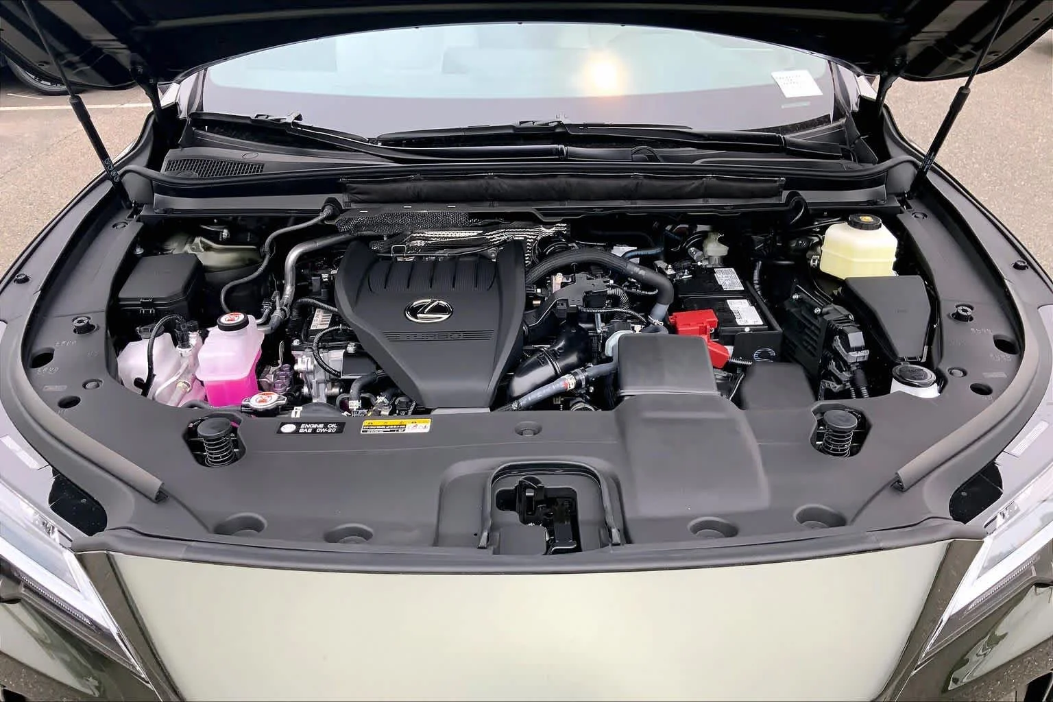 New 2026 Nori Green Pearl Lexus PREMIUM image 16