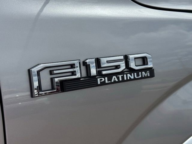 Used 2020 Silver Ford Platinum image 25