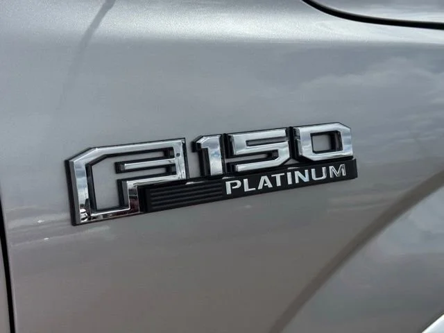 Used 2020 Silver Ford Platinum image 25