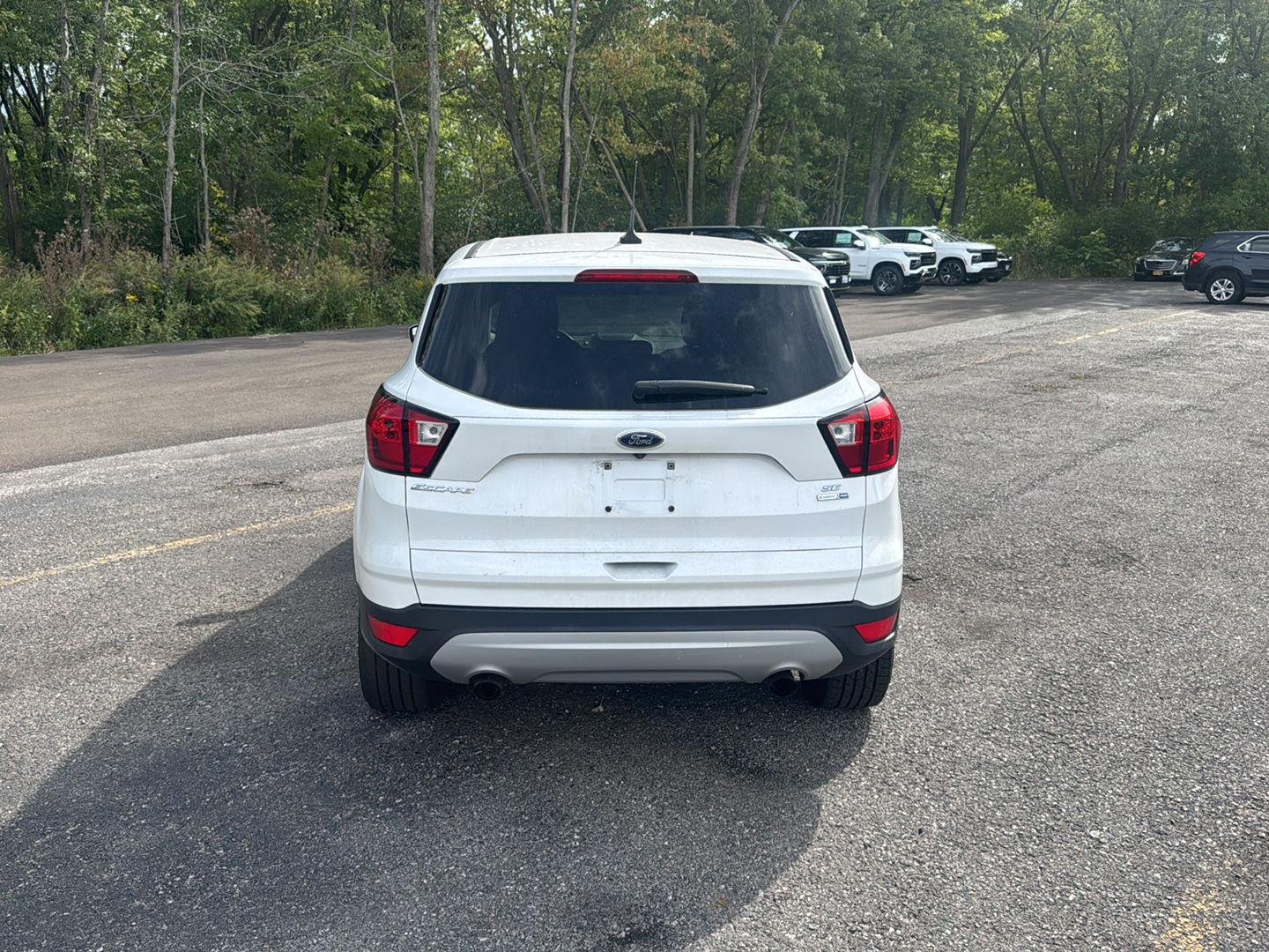 Used 2019 Oxford White Ford SE image 6