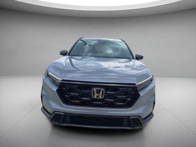 New 2026 Urban Gray Pearl Honda Sport-L image 8