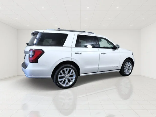 Used 2019 White Ford Platinum image 6