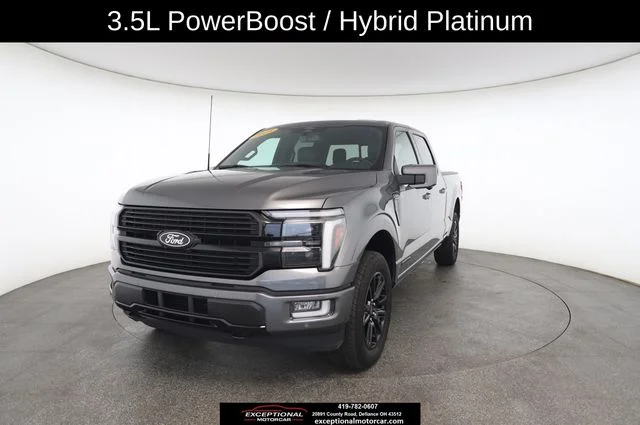 Used 2025 Gray Ford Platinum image 32