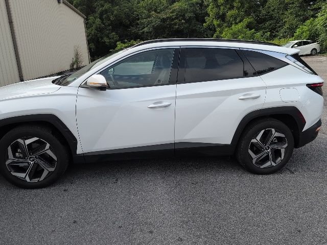 Used 2023 White Hyundai Limited image 3