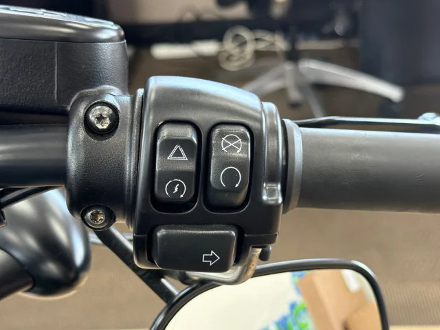 Used 2022 Black Harley-Davidson NA image 18