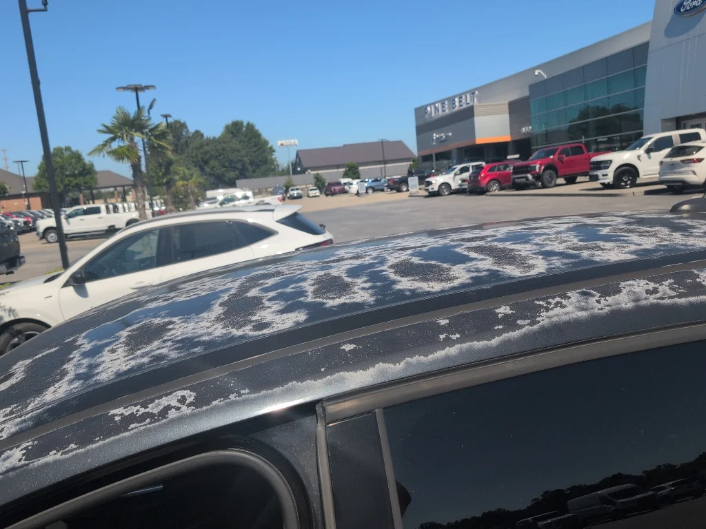 Used 2013 Tuxedo Black Ford SEL image 4