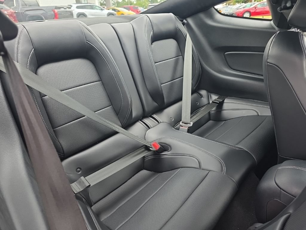 Used 2019 Red Ford EcoBoost Premium image 11