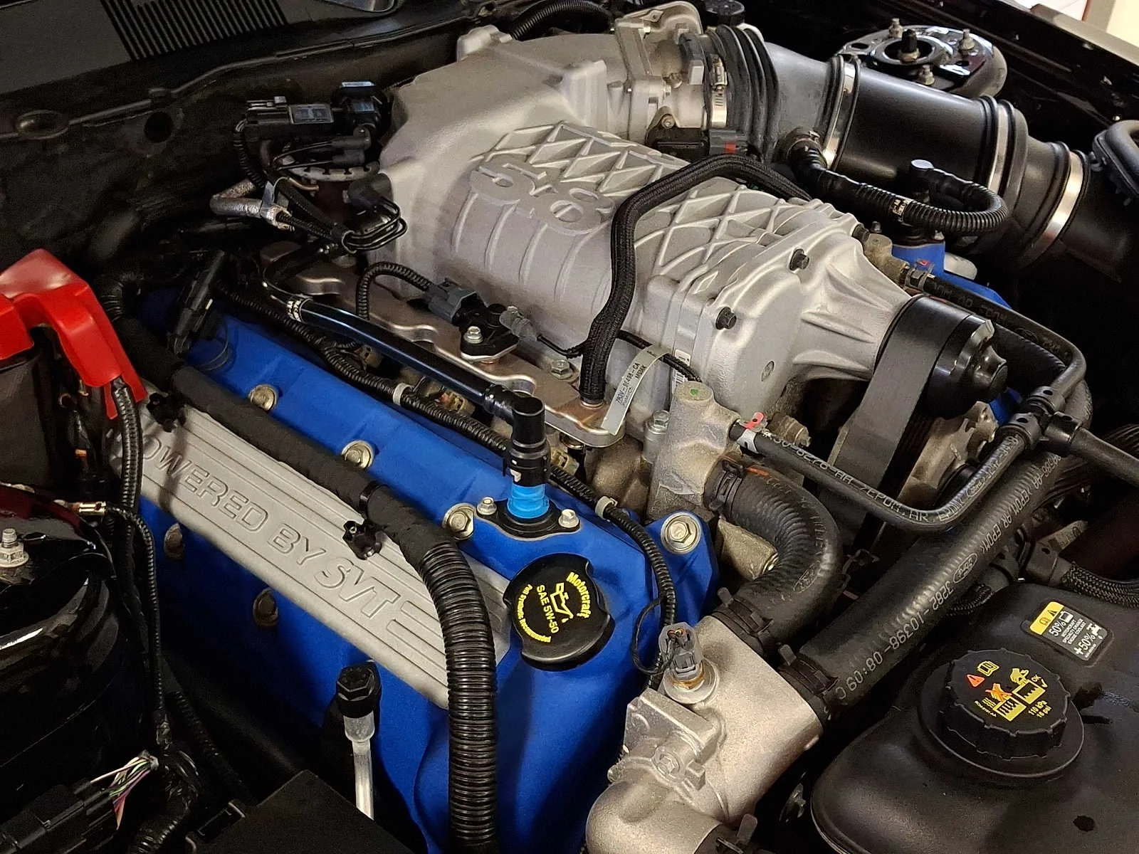 Used 2013 Black Ford Shelby GT500 image 26