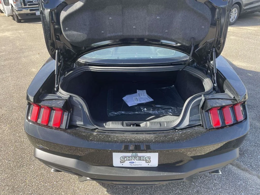 New 2026 Shadow Black Ford EcoBoost image 10