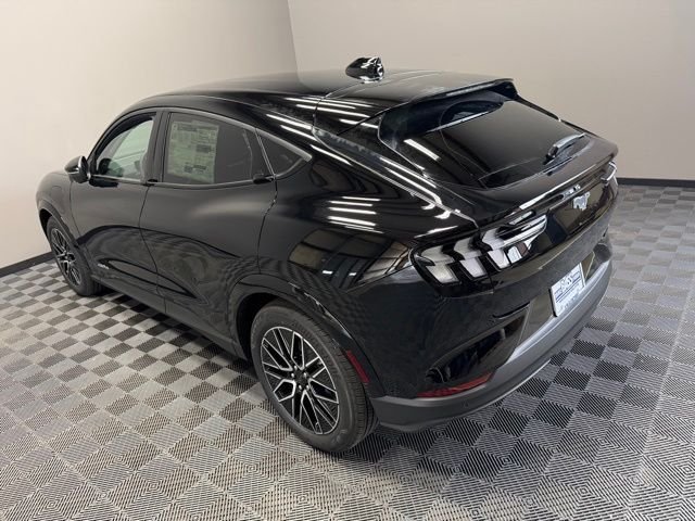 New 2026 Shadow Black Ford Premium image 12