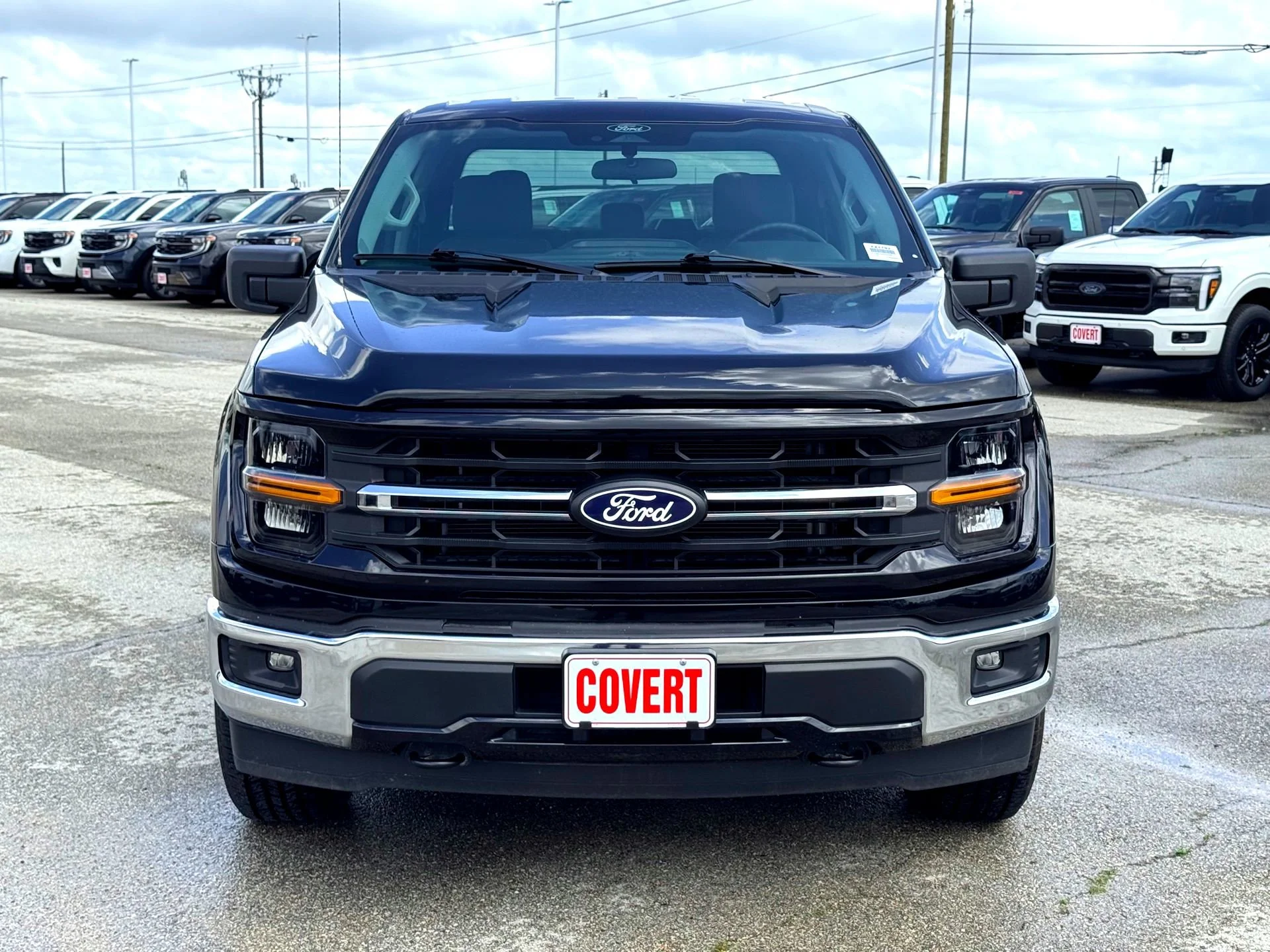 Used 2025  Ford XLT image 3