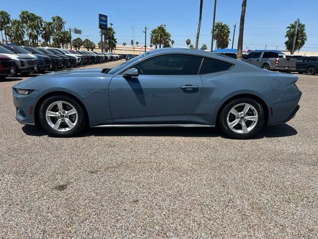 Used 2024 Blue Ford EcoBoost image 4