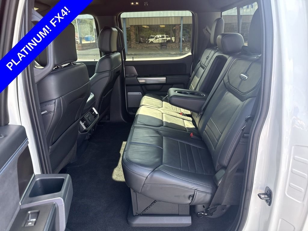 2025 Ford F-150 Platinum - Photo 21