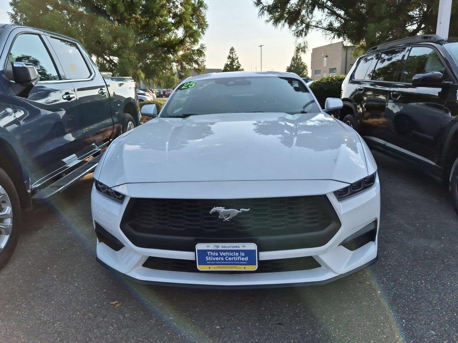 2025 Ford Mustang Ecoboost