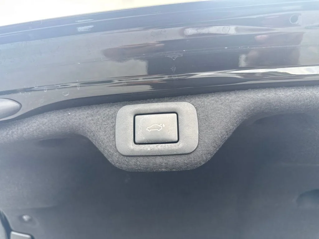 Used 2019 Black Lexus 300h Luxury image 19