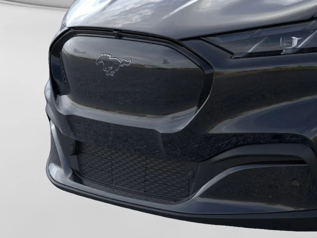 New 2026 Shadow Black Ford Premium image 17