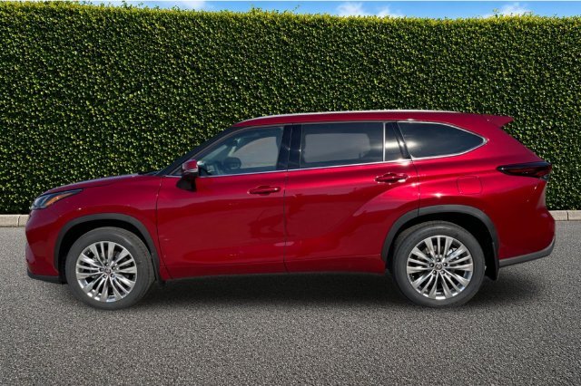 New 2026 Ruby Flare Pearl Toyota Platinum image 7