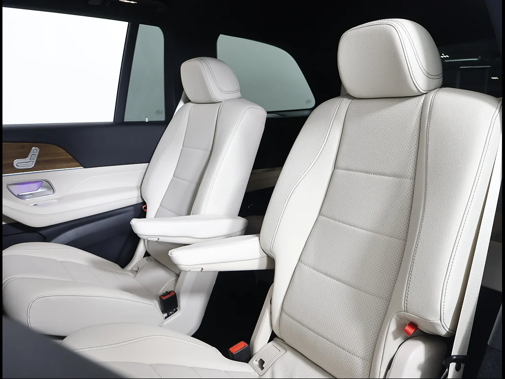 2025 Mercedes-Benz GLS Base - Photo 10