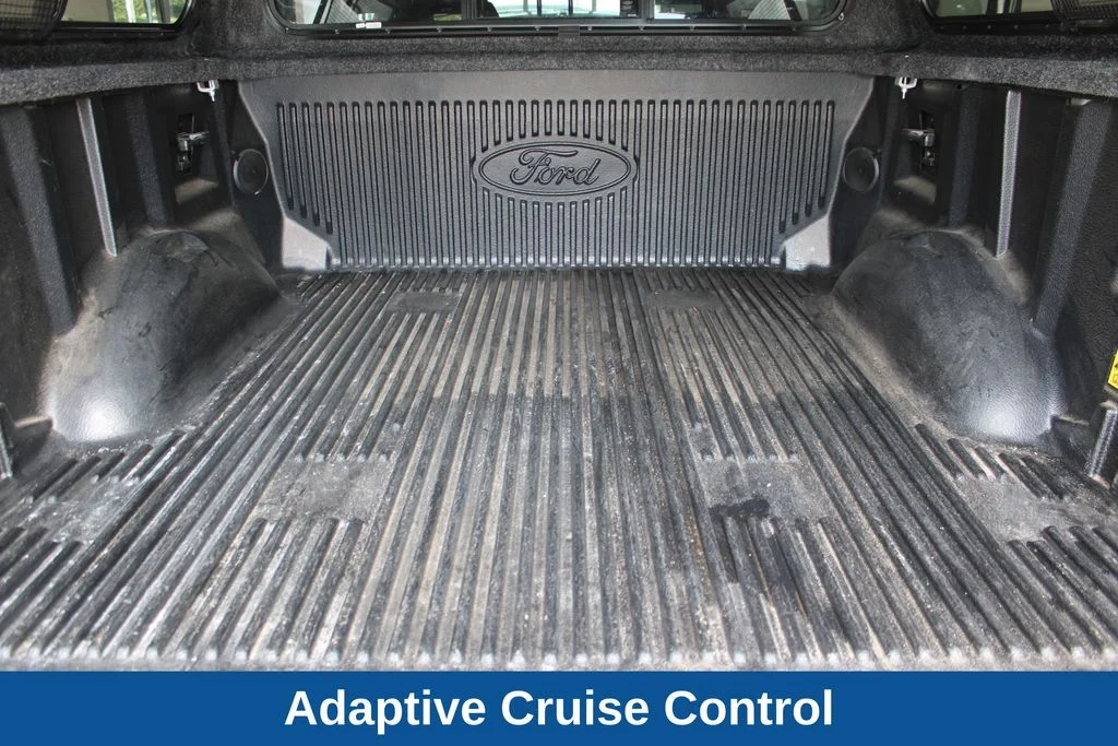 Used 2021 Silver Ford Platinum image 16