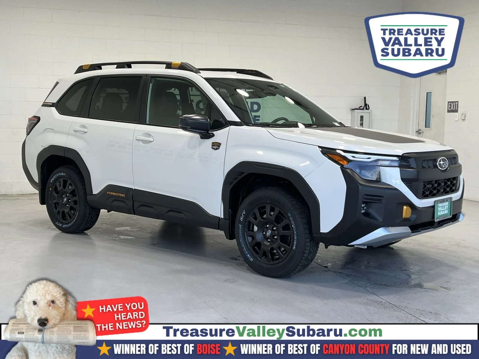 2026 Subaru Forester Wilderness's photo