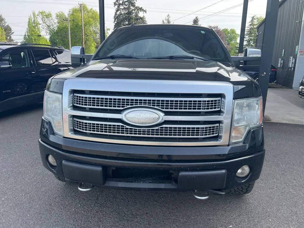 Used 2009 Black Ford Platinum image 3
