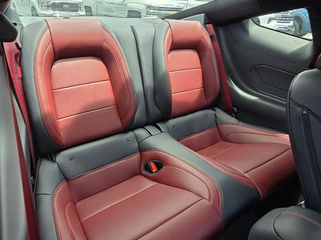 2025 Ford Mustang EcoBoost Premium Fastback - Photo 20