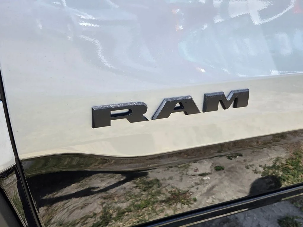 New 2026 Silver Zynith Exterior Paint RAM RHO image 12