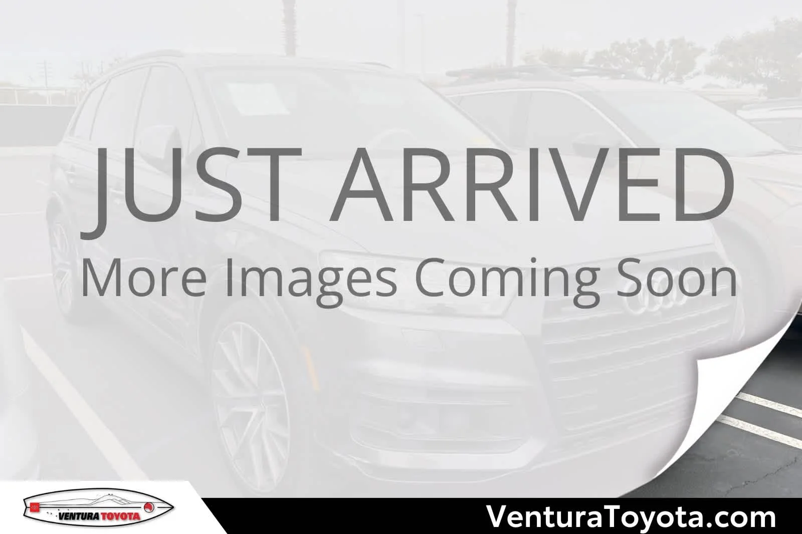 2019 Audi Q7 55 Prestige quattro Tiptronic's photo