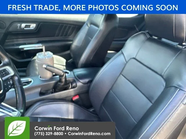 Used 2023 Gray Ford EcoBoost Premium image 7