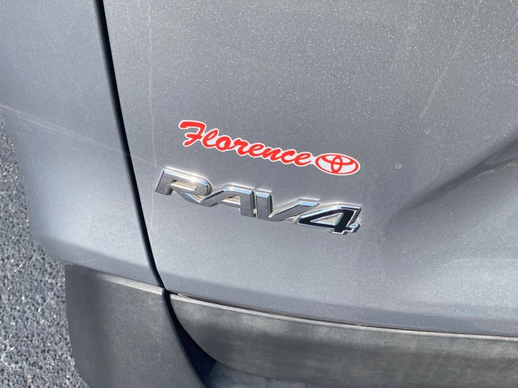 Used 2020 Silver Toyota XLE Premium image 13
