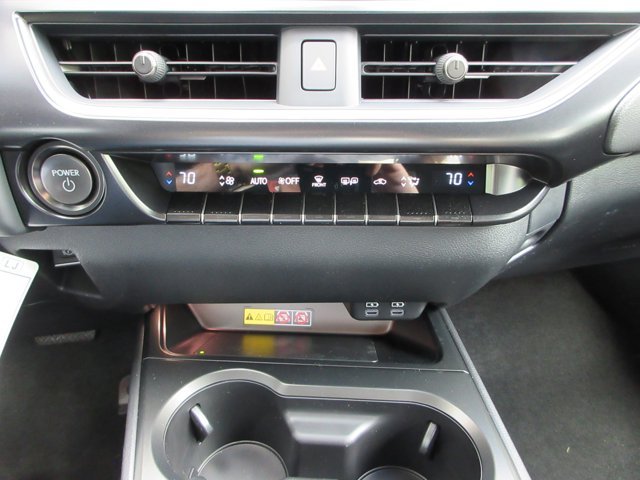 New 2026 Iridium Lexus 300h Premium image 48