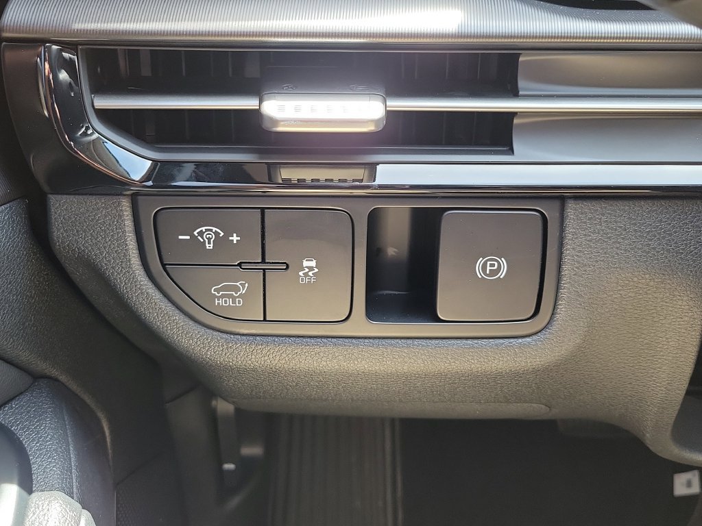 New 2026 Panthera Metal Kia EX image 26