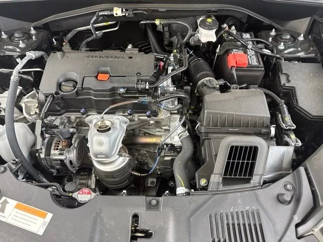 Used 2026 Black Honda EX-L image 21