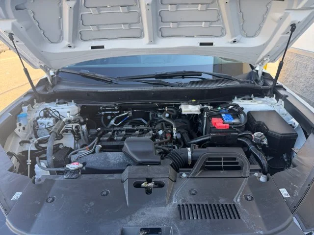 Certified Used 2025 White Honda EX-L image 7