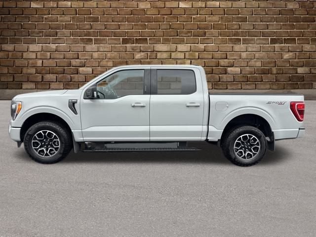2023 Ford F-150 XLT photo 2