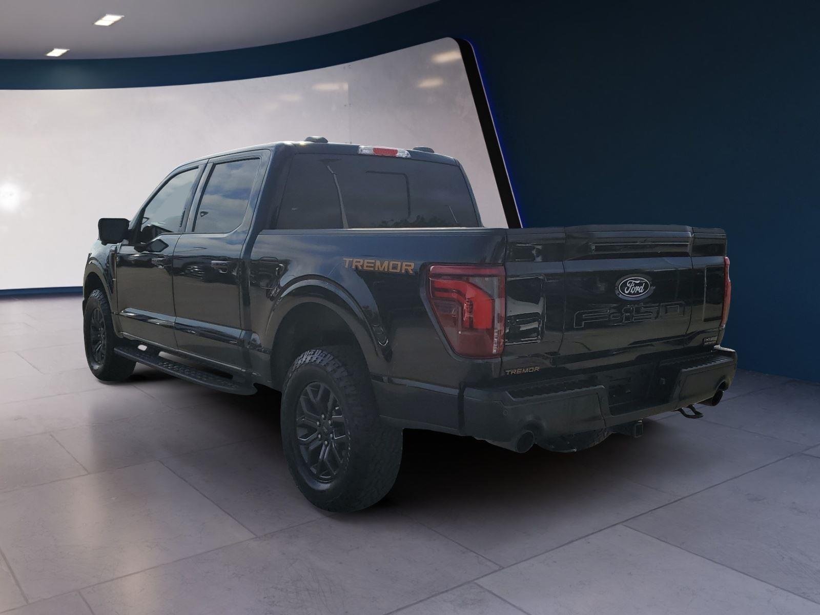 2024 Ford F-150 Tremor - Photo 3