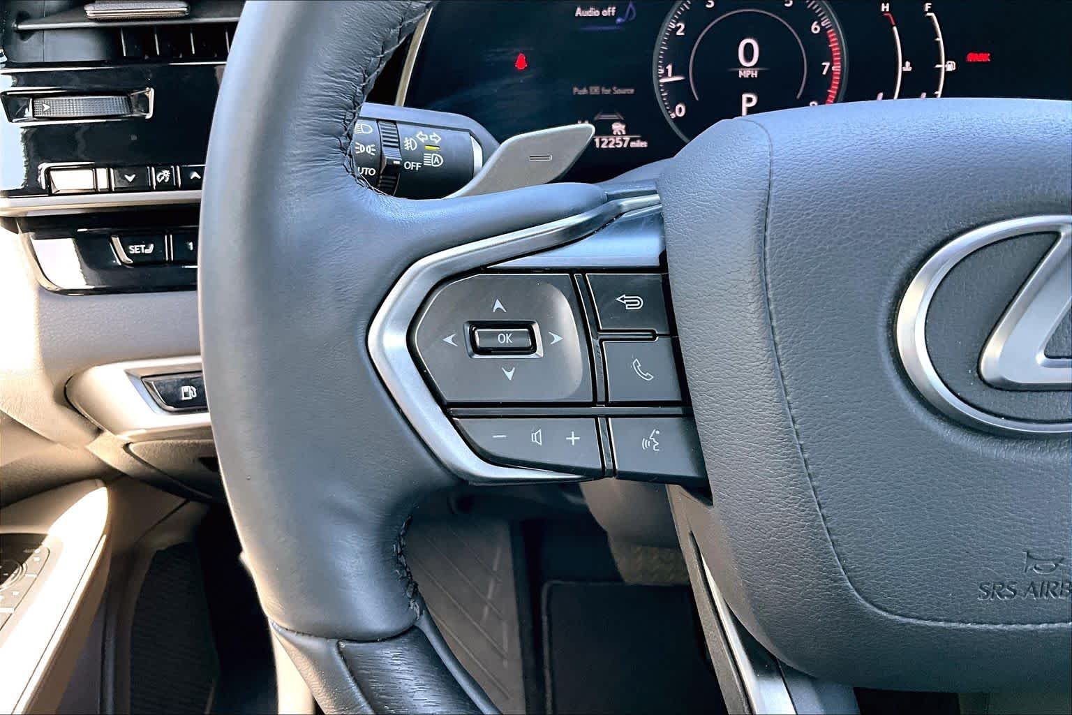 Used 2023 Iridium Lexus Premium image 21