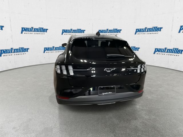 New 2026 Shadow Black Ford Premium image 10