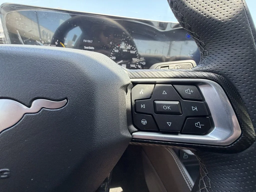 2025 Ford Mustang EcoBoost Premium - Photo 24