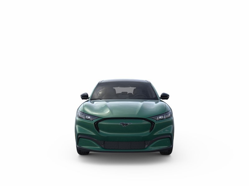 New 2026 Eruption Green Metallic Ford Premium image 28