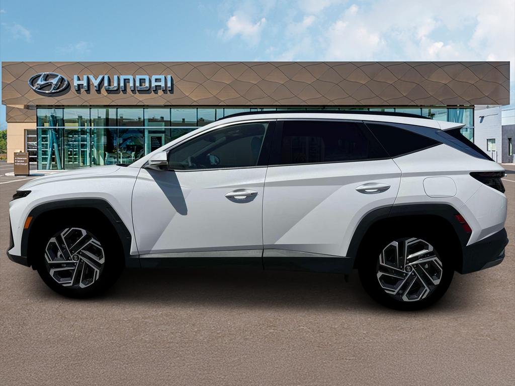 New 2026 White Pearl Hyundai Limited AWD image 3