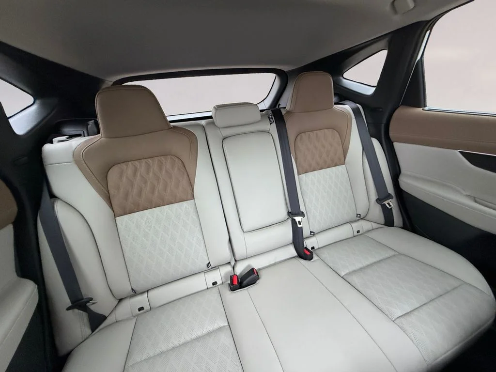 New 2026 White Nissan Platinum image 18