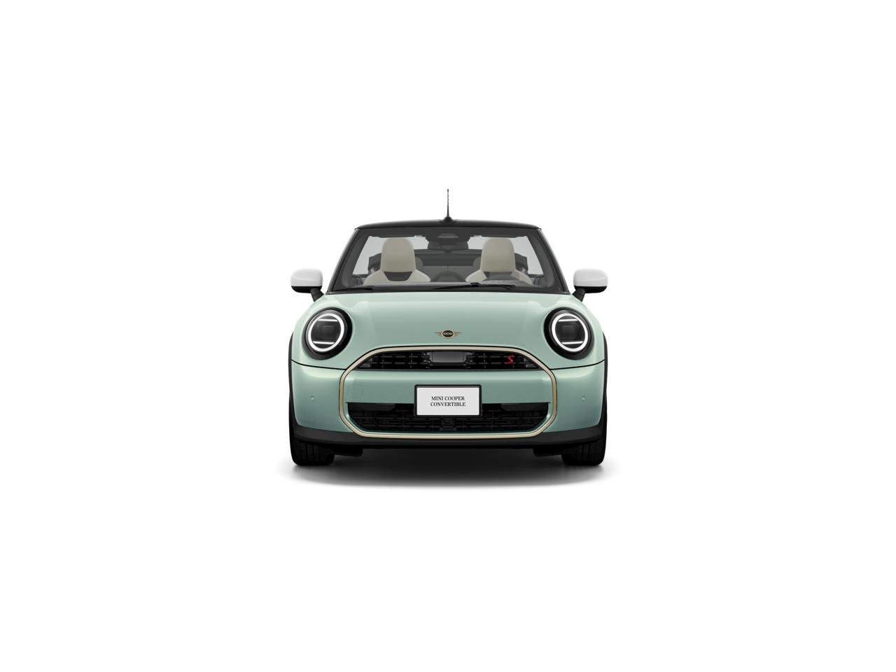 New 2027 Ocean Wave Green Metallic MINI SIGNATURE PLUS image 2