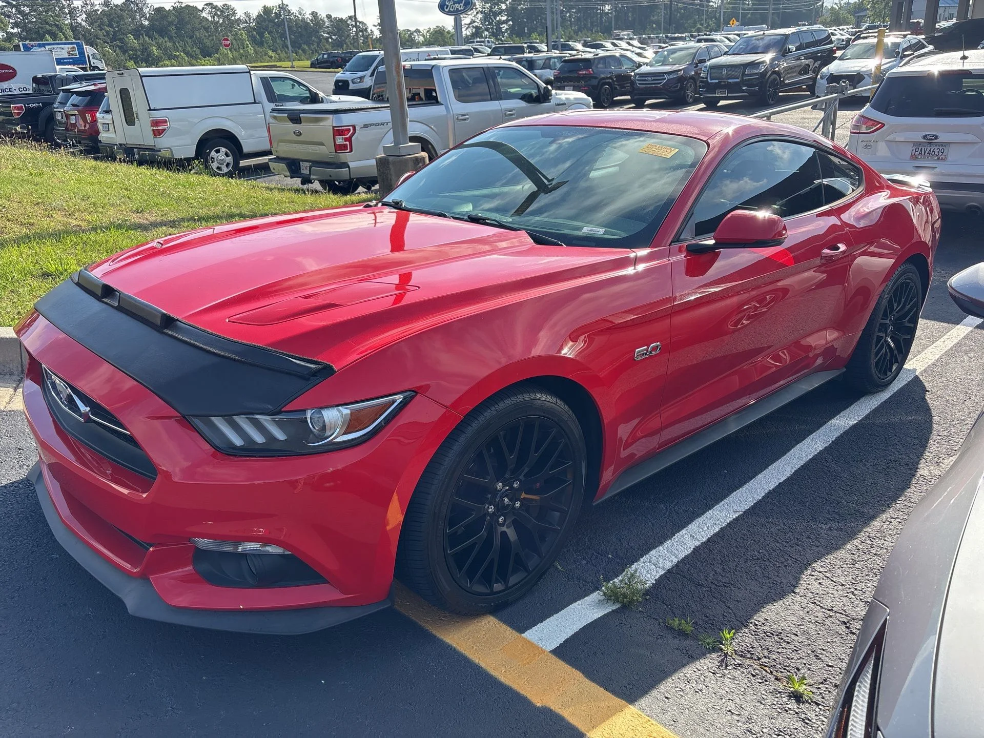 2015 Ford Mustang GT Coupe's photo
