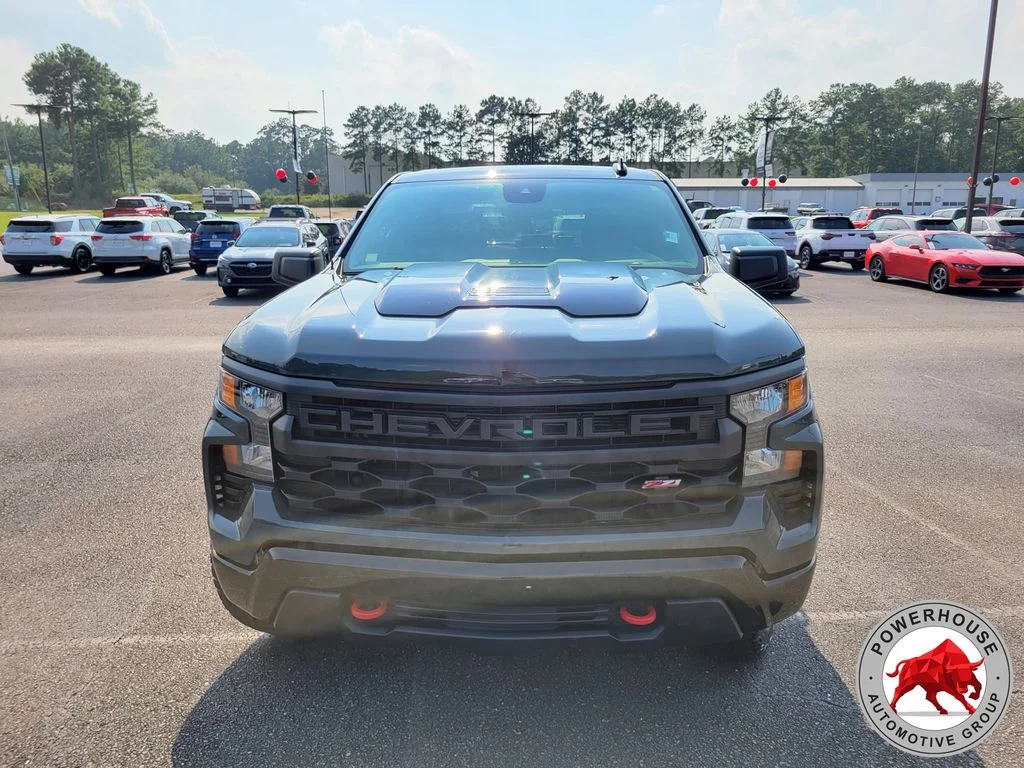 Used 2025 Gray Chevrolet Custom Trail Boss image 9