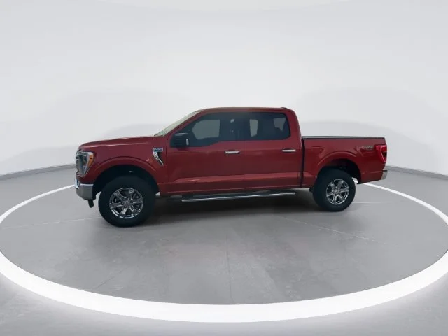 Used 2023 Red Ford XLT image 3