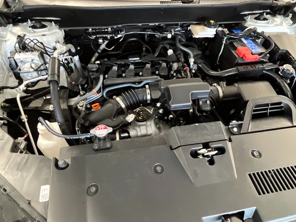 New 2027 Platinum White Pearl Honda LX image 11