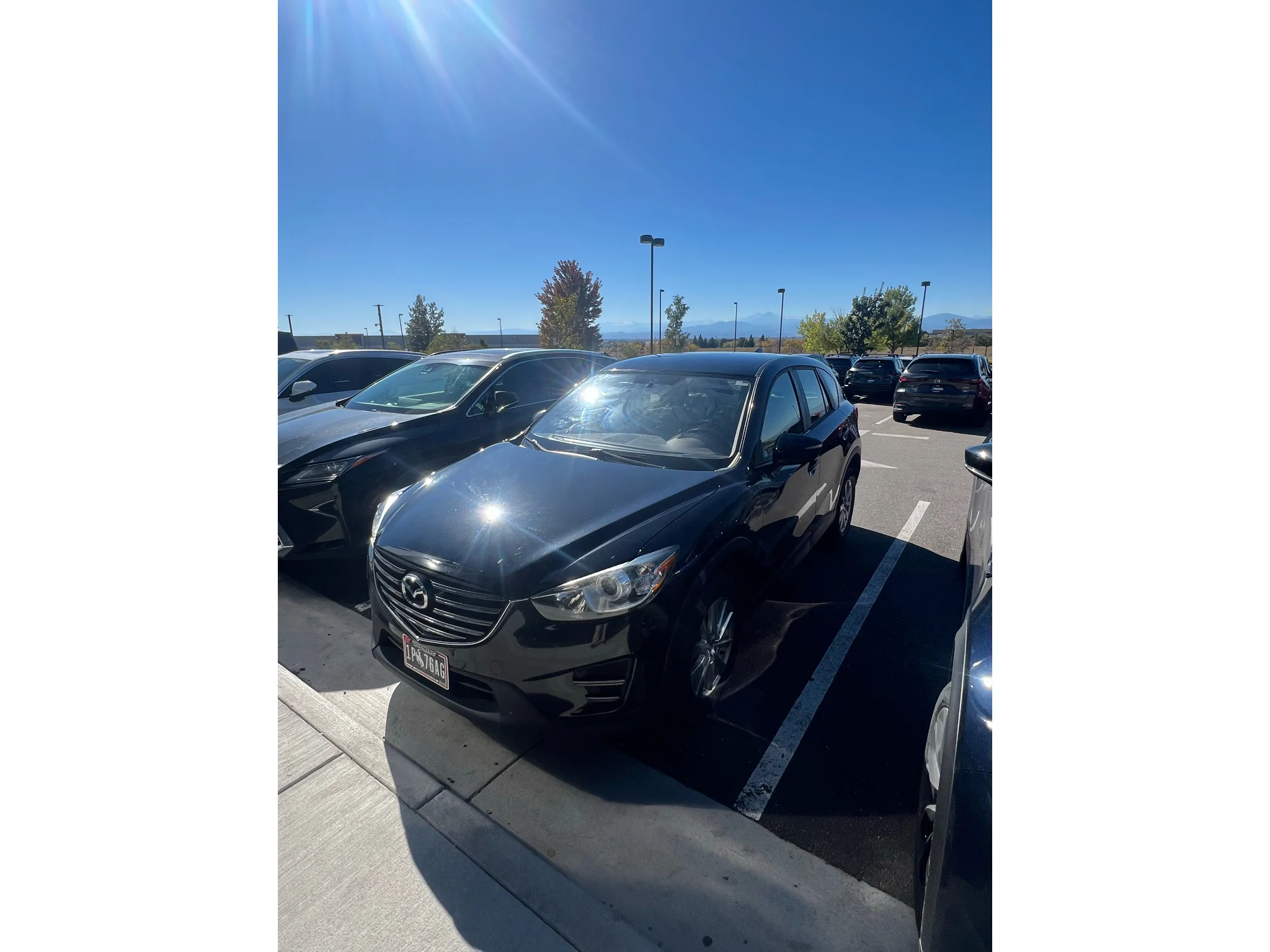 Used 2016 Black Mazda Sport image 5