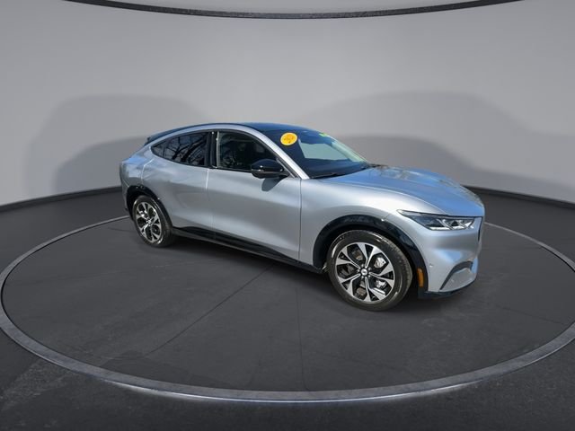 Used 2021 Ford Mustang Mach-E Premium RWD with VIN 3FMTK3R79MMA10923 for sale in Tallahassee, FL